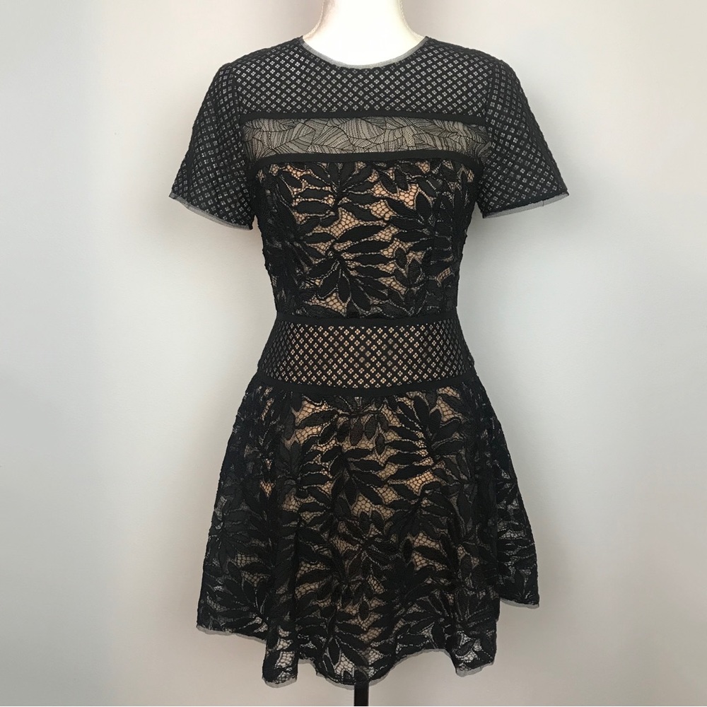 BCBGMaxAzria Eleanor Lace Blocked Cotton Blend A-line Dress Size 4